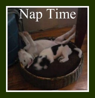 Nap time